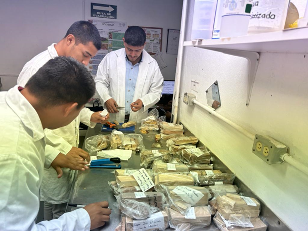 laboratorio bioenergia